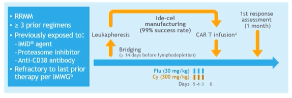 CAR-T myeloma 1