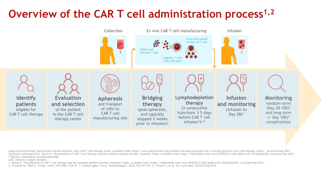 CAR-T process