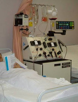 Stem cell harvest