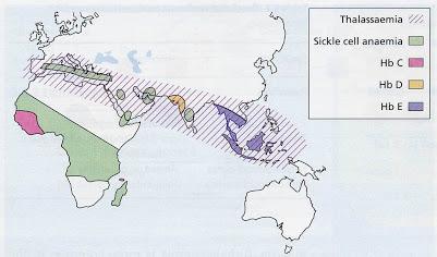 World distribution