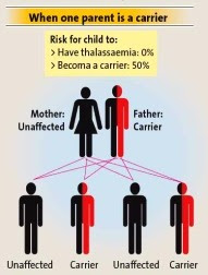 One parent carrier