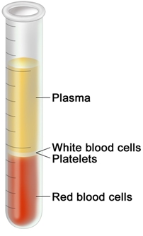 Human blood components